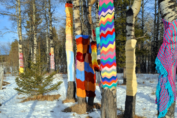 01 AWWS Beaver Mines, Alberta; 12 people, 4 hours, 30 trees; This temporary art project was in support of the Castle Wilderness Coalition protest regarding logging practices in the area. Feb 13, 10 am to Feb 25, 2012. See <a href="/publications">Publications</a> for media coverage.