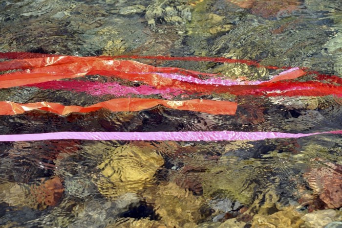 06 Red Alert The Guardians of the Watershed