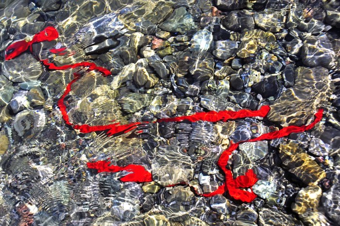 07 Red Alert Line of Clarity, The Survey Tape Series