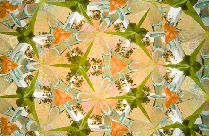 10 New Patterns realidoscope photographs
